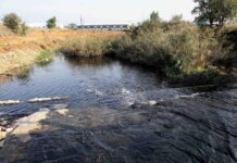 Βακτήριο χολέρας βρέθηκε στον Ασωπό ποταμό: Σε Οινόφυτα, Συκάμινο και Ωρωπό τα μολυσμένα δείγματα – Τα ευρήματα του ΠΑΚΟΕ