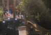Πτώση μεγάλου δέντρου έξω από το Μέγαρο Μαξίμου: Κλειστή η Ηρώδου Αττικού