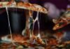 Μαρκόπουλος για Pizza Fan: «Ήταν πολύ επιστημονική η κομπίνα – Το θέμα των 2.500 εργαζόμενων είναι σημαντικό»