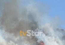 Φωτιά στη Λαμία – Ξεκίνησε από ξερά χόρτα, απειλεί δάσος