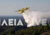 Φωτιά στην Ηλεία στην περιοχή Τριανταφυλλιά – Ισχυρές δυνάμεις στο σημείο