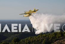 Φωτιά στην Ηλεία στην περιοχή Τριανταφυλλιά – Ισχυρές δυνάμεις στο σημείο