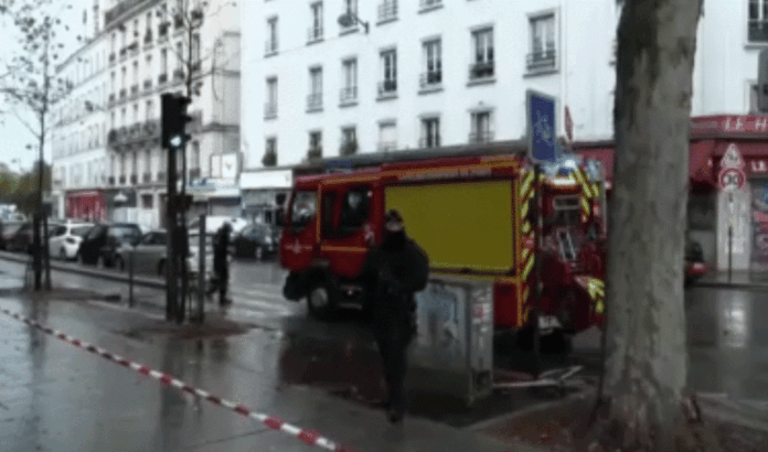 gallia-3-1024x603.gif