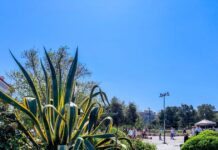 Καιρός σήμερα: Στους 24 βαθμούς η θερμοκρασία