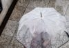 Κακοκαιρία: Συστάσεις της Πολιτικής Προστασίας ενόψει της επιδείνωσης του καιρού