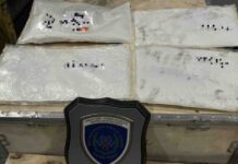 Ο σκύλος «Μεζκάλ» μύρισε ναρκωτικά στο «Ελευθέριος Βενιζέλος»: Πέρασαν στην Ελλάδα κοκαΐνη και skunk άνω των 380.000 ευρώ