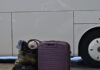Οδηγός του ΚΤΕΛ Αιτωλοακαρνανίας ξέχασε επιβάτιδα σε στάση για τουαλέτα στο Αίγιο και έφυγε για Αγρίνιο