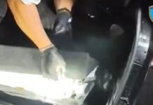 Λαύριο: Πάνω από 18 κιλά κοκαΐνης έκρυβε στο αυτοκίνητο 43χρονος – Θα έβγαζε κέρδος 1,3 εκατομμύριο ευρώ