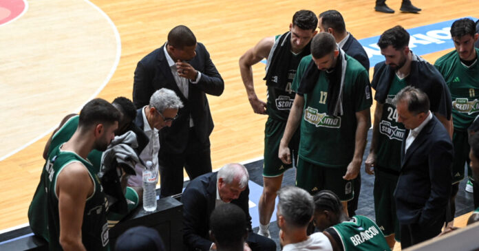 obradovic-3-1200x630.jpg