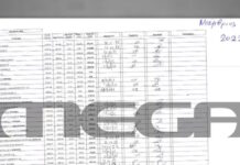 Pizza Fan: Το κρυφό excel που κρατούσαν για τα «μαύρα» χρήματα – Επτά τα καταστήματα με τον μεγαλύτερο παράνομο τζίρο