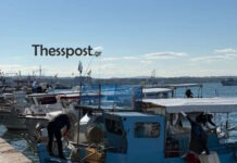 Σε απόγνωση οι ψαράδες: Διαμαρτυρίες σε Κερατσίνι και Θεσσαλονίκη – «Δεν βγάζουμε ούτε το πετρέλαιο»