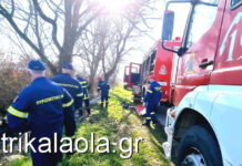 Τρίκαλα: Συναγερμός για πτώση αλεξιπτωτιστή πλαγιάς σε δάσος – Επιχείρηση διάσωσης από την πυροσβεστική