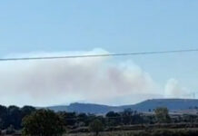 Σουφλί: Πέρασε στην Ελλάδα η μεγάλη φωτιά από τη Βουλγαρία – Ισχυρές δυνάμεις στα σύνορα