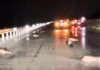 Λάρισα: Αγριογούρουνα προσπάθησαν να περάσουν την Εθνική Οδό και προκάλεσαν τροχαίο